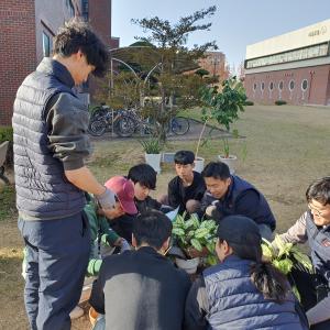 연구실 화분 분갈이(23.12.07) 이미지